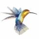 Avatar 1582558619
